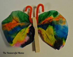 coffee filter butterfly