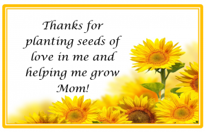 seeds of love free pirintable theresourcefulmama.com