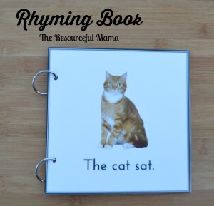 Beginning reader rhyming book-The Cat Sat