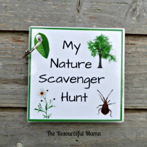 Nature scavenger hunt