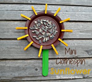 Make this sunflower with mini clothespins, small paper plate, jumbo craft stick, sunflower seeds, glue, green paint and a yellow marker.
