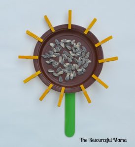 Kids ' sunflower craft using brown paper plate, jumbo craft stick, mini clothespins, and sunflower seeds.