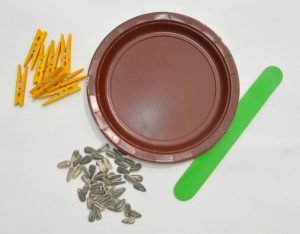 Make a sunflower with these supplies: mini clothespin, jumbo craft stick, small paper plate, and sunflower seeds.