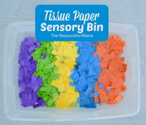 Tissue Paper Senosry Bin