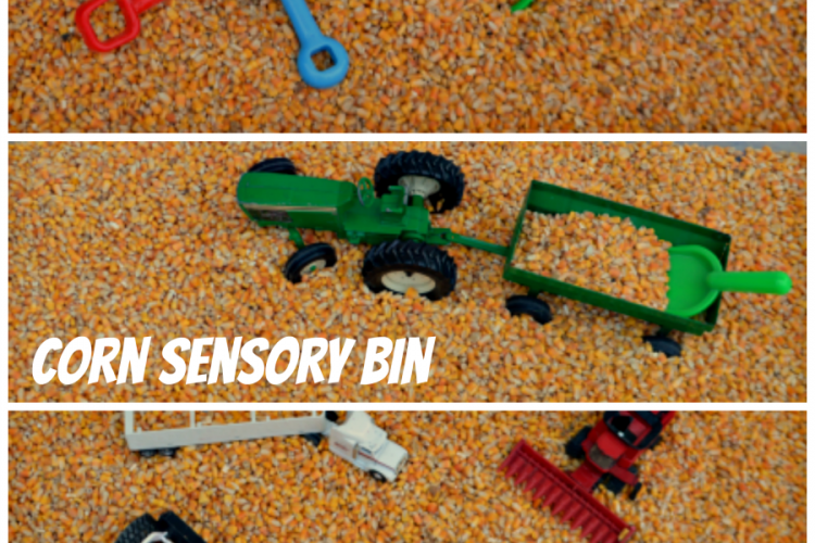 This fall harvest corn sensory bin offers kids a fun and tactile activity.
