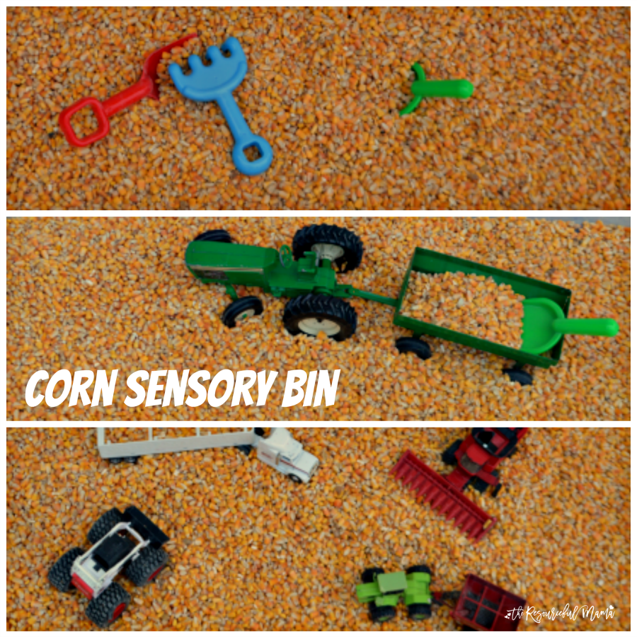 This fall harvest corn sensory bin offers kids a fun and tactile activity.
