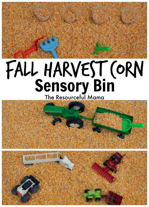 This fall harvest corn sensory bin offers kids a fun and tactile activity.