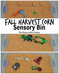 We of the best things about fall is harvest and playing in the corn! This corn sensory bin is so easy to make and will provide hours of fun!