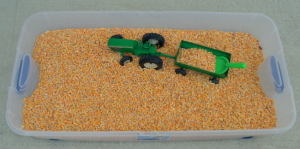 Fall Harvest Corn Sensory Bin