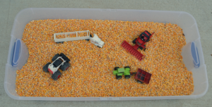 Fall Harvest Corn Sensory Bin