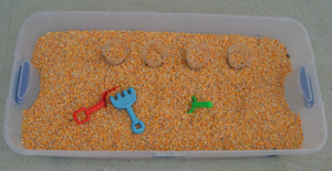 Fall Harvest Corn Sensory Bin