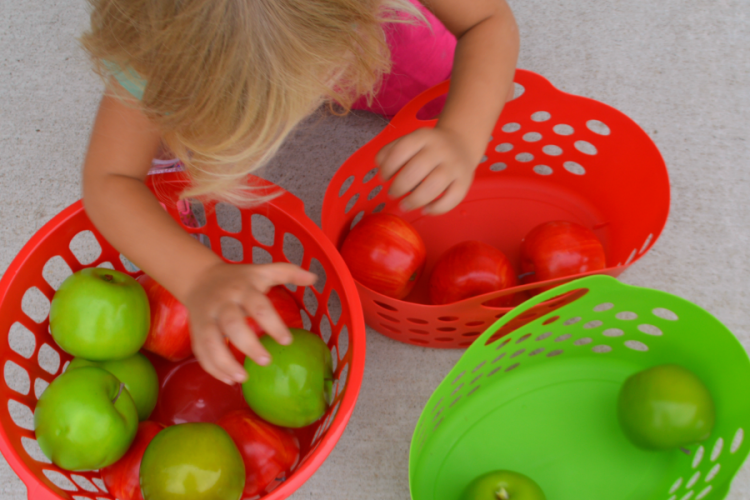 Fun, inexpensive, and easy prep apple sorting activity for toddlers. fall|early math|kid activity