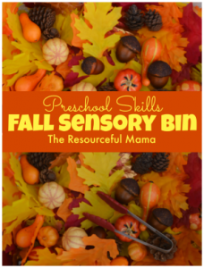 Fall sensory bin incorporating many levels of preschool skills and development.