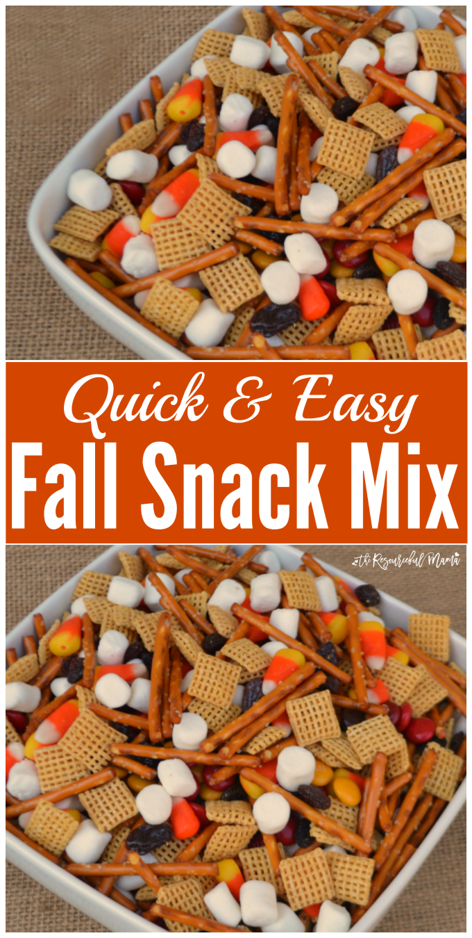 Quick & Easy Fall Snack Mix - The Resourceful Mama