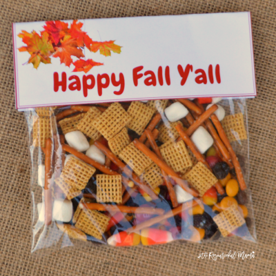 Fall Snack Mix Treat Bags