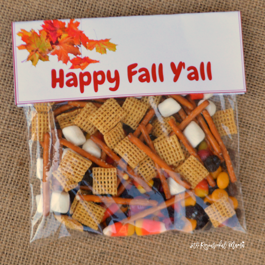 Quick and easy fall snack treat bag prefect for school snacks, fall gatherings an parties. FREE PRINTABLE LABEL