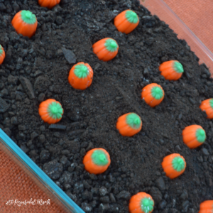 Super and easy and quick no bake pumpkin dirt cake for fall gateherings, parites, and potlucks.