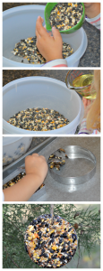 The best recipe for homemade bird seed ornaments. Uses shortening or lard. These make great gifts. 
