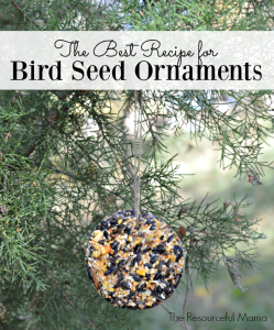 The best recipe for homemade bird seed ornaments. Get the kids involved and make these ornaments for Christmas gifts. 