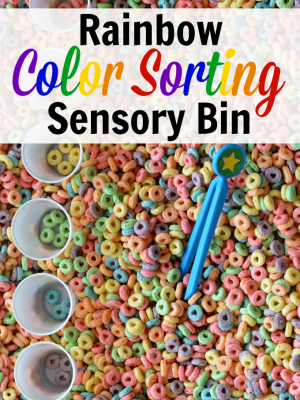Rainbow Color Sorting Sensory Bin