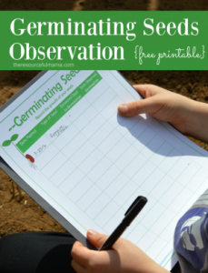 Free printable seed germination observation worksheet. Fun and educational gardening activity for kids.