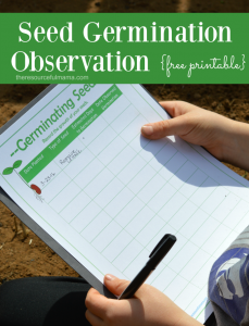 Free printable seed germination observation worksheet. Fun and educational gardening activity for kids. 