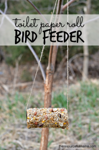 Reuse toilet paper rolls to make homemade bird feeders. This is a great Earth Day project for kids.