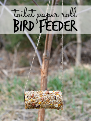 Easy Toilet Paper Roll Bird Feeder Craft