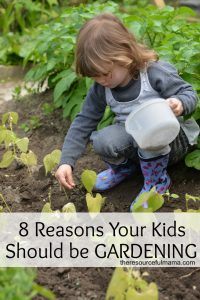 There are many benefits of gardening. Gardening offers a fun and hands on learning experience for kids while fostering understanding and growth.