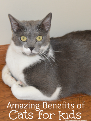 Amazing Benefits of Cat Ownership for Kids (Printable Chore Chart)