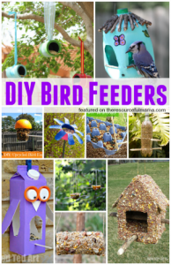 10 amazing homemade bird feeders from your recyclables. These bird feeders are a great way to protect and care of our planet, celebrate Earth Day, and do an inexpensive project with your kids.