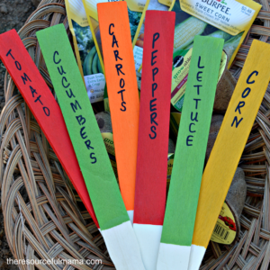 Turn paint sticks into DIY Garden Markes. Great craft project for kids to help with this spring and get them excited about gardening