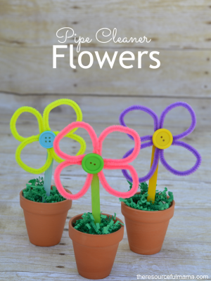 Pipe Cleaner Flower Craft
