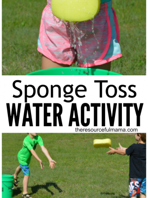 Sponge Toss Water Activity