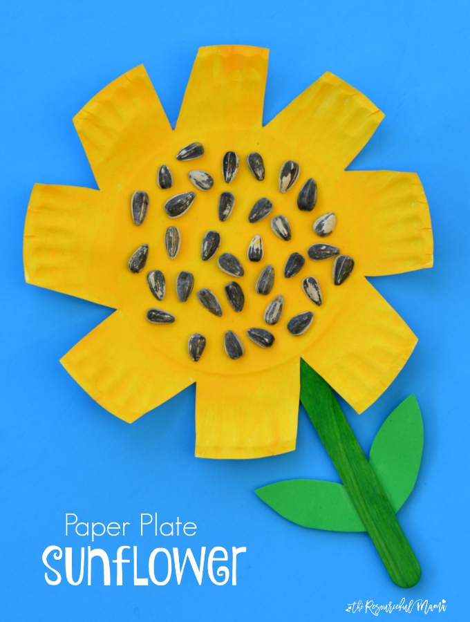 Kids work on scissor skills while making this paper plate sunflower craft. fall|preschool|kindergarten|summer|kid craft|fine motor skills