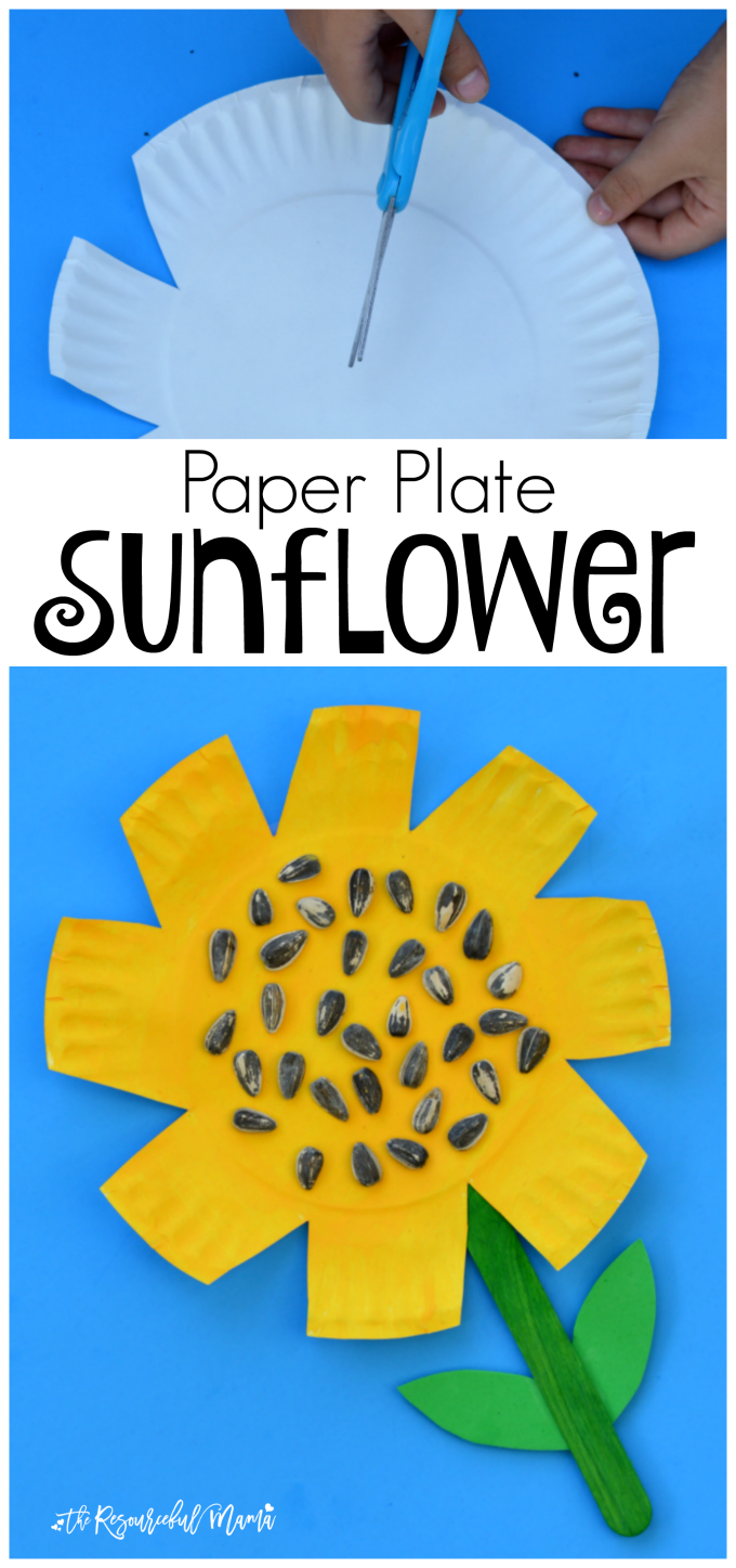 Kids work on scissor skills while making this paper plate sunflower craft. fall|preschool|kindergarten|summer|kid craft|fine motor skills