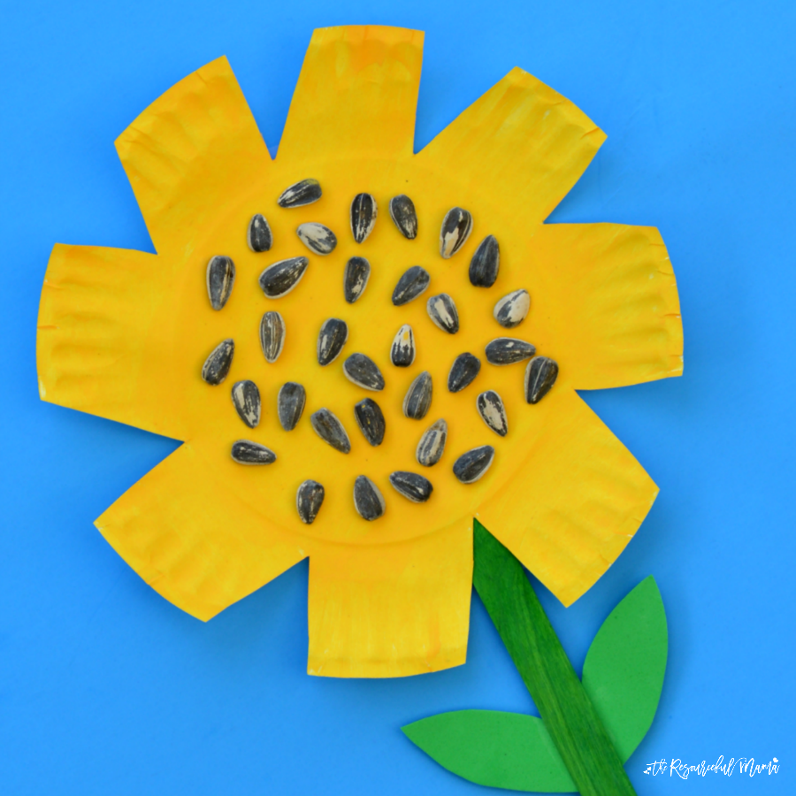 Paper shop plate sunflower