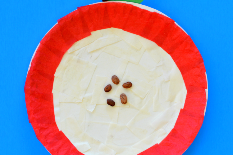 Crafting and science met in a hands on learning opportunity as you explore the parts of an apple. fall | apples | preschool | science | STEM