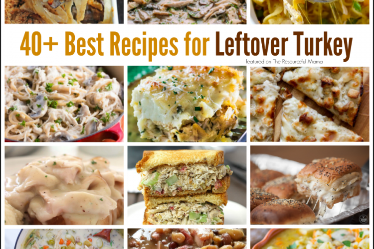 Transform leftover turkey from Thanksgiving into some amazing recipes including : casseroles, soups,, sandwiches, pizza and more.