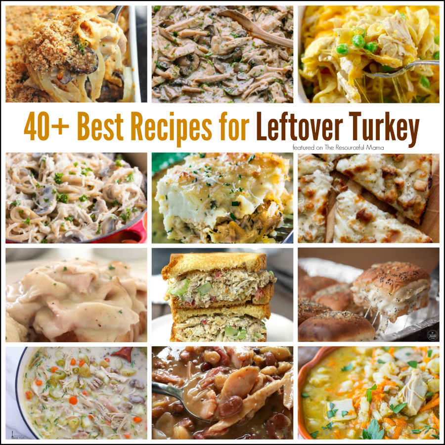 Transform leftover turkey from Thanksgiving into some amazing recipes including : casseroles, soups, sandwiches, pizza and more.