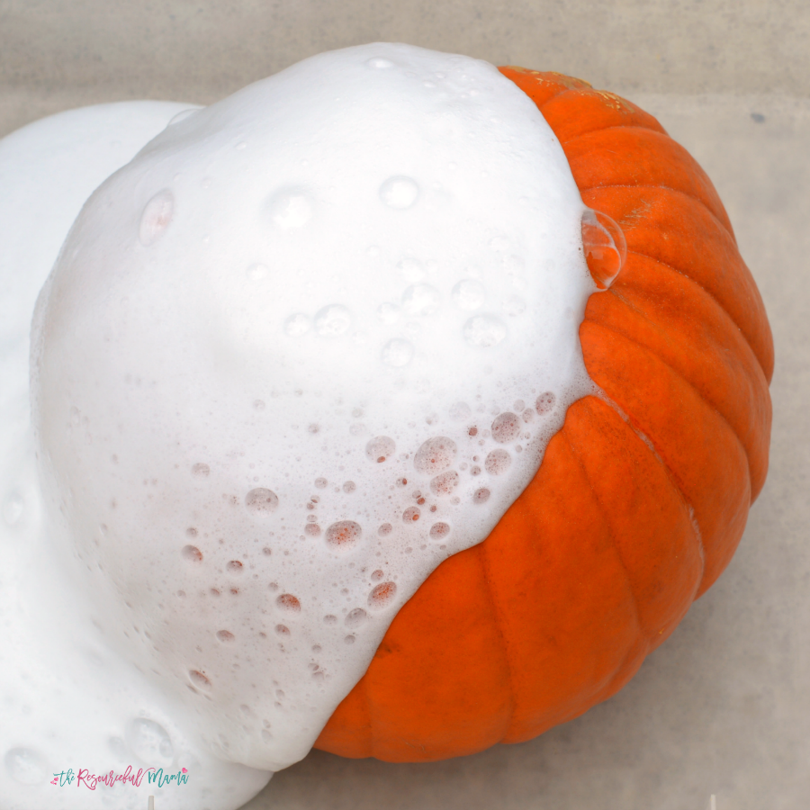 Kids will love watching as chemicals react and fizz over the sides of this pumpkin volcano, a fun and classic science experiment with a fall twist. Fall | Halloween | Pumpkins | Science | STEM 
