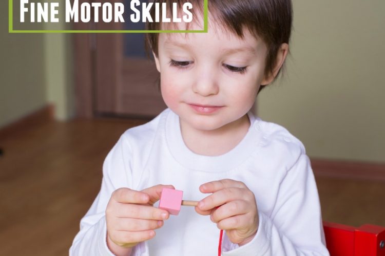 Fine motor skills explained and resources for further information.