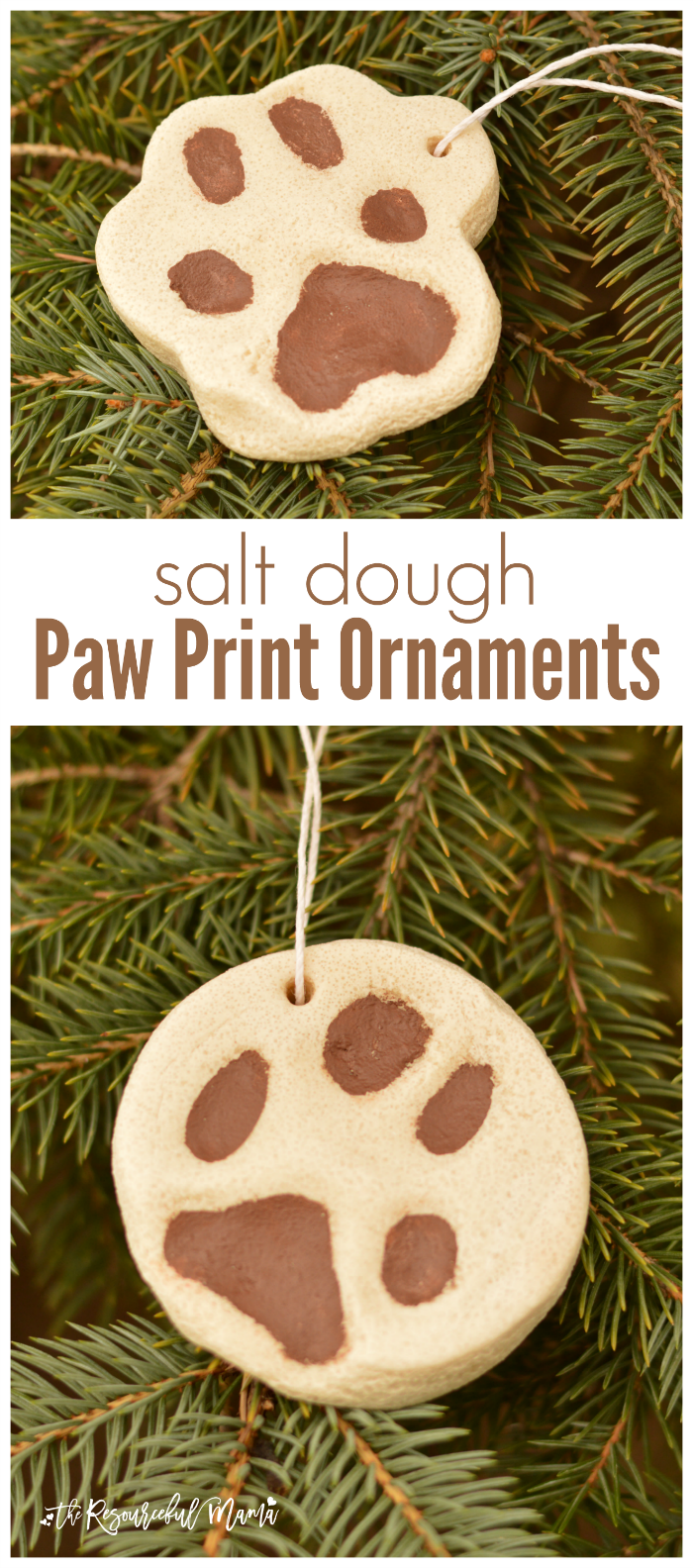 Salt Pet Paw Print Ornament - The Resourceful