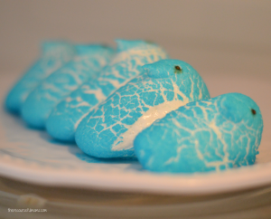Peeps candy scream spring and Easter. Turn your candy into a hands on learning Peeps Candy Science Experiment that kids will love.