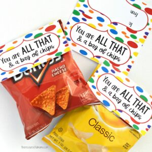 You Are All That & a Bag of Chips Valentines for Older Kids
