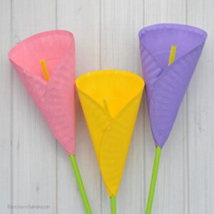 Transform paper plates into a beautiful Calla Lily Flower Craft for kids.  Kids will love making a bouquet of calla lilies for their mom on Mother's Day.  They make a great homemade Mother's Day gift that will last forever. 